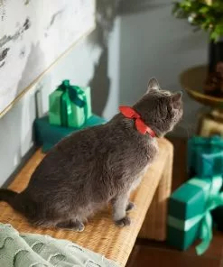 Frisco Holiday Hombre Cat Collar With Bow, Red, 8 - 12 inches, 3/8-in wide 7 Frisco Holiday Hombre Cat Collar With Bow, Red, 8 - 12 inches, 3/8-in wide -Pet Food Gear Shop 289696 PT8. SY630 V1632189993