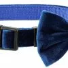 Frisco Velvet Dog Collar With Removeable Velvet Bow -Pet Food Gear Shop 289734 MAIN. SY630 V1632185202