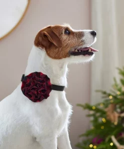 Frisco Removeable Collar Flower, Buffalo Check -Pet Food Gear Shop 289802 PT8. SY630 V1632187642