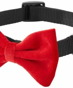 Frisco Removeable Velvet Collar Bow -Pet Food Gear Shop 289810 PT5. SY630 V1632186369