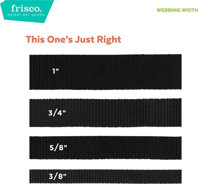 Frisco Fantastic Foxes Dog Collar 7 Frisco Fantastic Foxes Dog Collar - Image 5