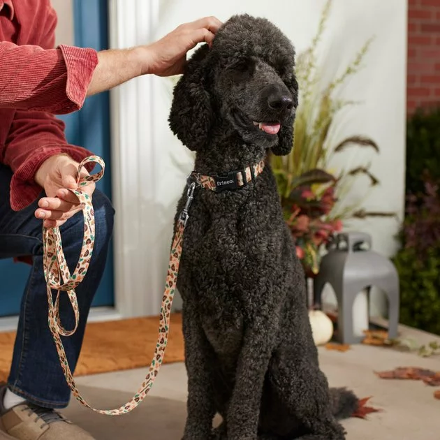 Frisco Thanksgiving Turkey Dog Leash 5 Frisco Thanksgiving Turkey Dog Leash - Image 3