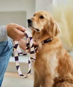 Frisco Purple Colorblock Dog Collar -Pet Food Gear Shop 291282 PT3. SY630 V1629488015