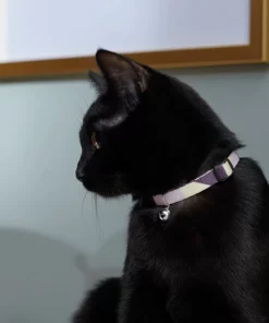 Frisco Purple Colorblock Cat Collar, 8-12 Inches, 3/8-in wide -Pet Food Gear Shop 291327 PT3. SY630 V1629771214