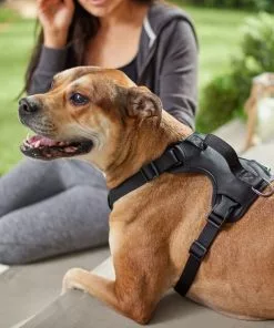 Frisco Monochromatic Dog Harness -Pet Food Gear Shop 291550 PT8. SY630 V1633121185