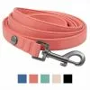 Frisco Monochromatic Dog Leash -Pet Food Gear Shop 291585 MAIN. SY630 V1638456132