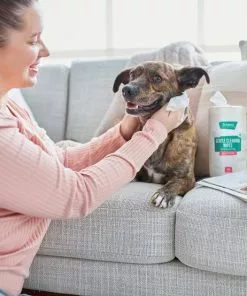 Frisco Gentle Cleaning Waterless Grooming Wipes for Puppies & Kittens, Green Tea Scent 12 Frisco Gentle Cleaning Waterless Grooming Wipes for Puppies & Kittens, Green Tea Scent -Pet Food Gear Shop 291592 PT4. SY630 V1627306695