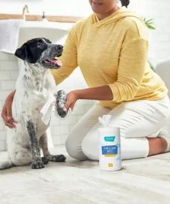 Frisco Deodorizing Paw & Bum Waterless Grooming Wipes for Dogs & Cats -Pet Food Gear Shop 291593 PT4. SY630 V1627654025