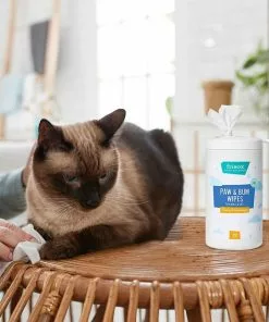 Frisco Deodorizing Paw & Bum Waterless Grooming Wipes for Dogs & Cats -Pet Food Gear Shop 291593 PT5. SY630 V1627653728