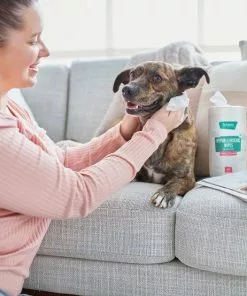 Frisco Hypoallergenic Waterless Grooming Wipes for Dogs & Cats, Soothing Chamomile, 80 count -Pet Food Gear Shop 291595 PT4. SY630 V1627306706