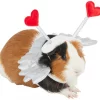 Frisco Guinea Pig Cupid Costume