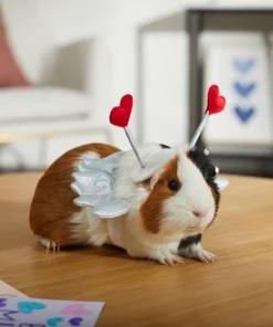 Frisco Guinea Pig Cupid Costume 11 Frisco Guinea Pig Cupid Costume -Pet Food Gear Shop 292198 PT8. SY630 V1637361404