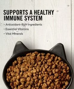 American Journey||Frisco American Journey Turkey & Chicken Recipe Grain-Free Dry Food + Frisco Cactus Cat Scratching Post, 22-in -Pet Food Gear Shop 292646 PT3. SY630 V1619980344