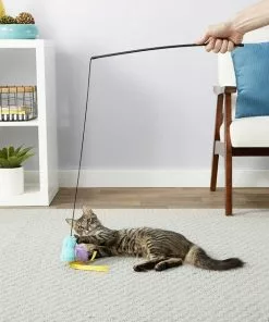 Fancy Feast||Frisco Fancy Feast Tender Feast Canned Food + Frisco Bird Teaser with Feathers Cat Toy, Blue 13 Fancy Feast||Frisco Fancy Feast Tender Feast Canned Food + Frisco Bird Teaser with Feathers Cat Toy, Blue -Pet Food Gear Shop 292976 PT5. SY630 V1620009422