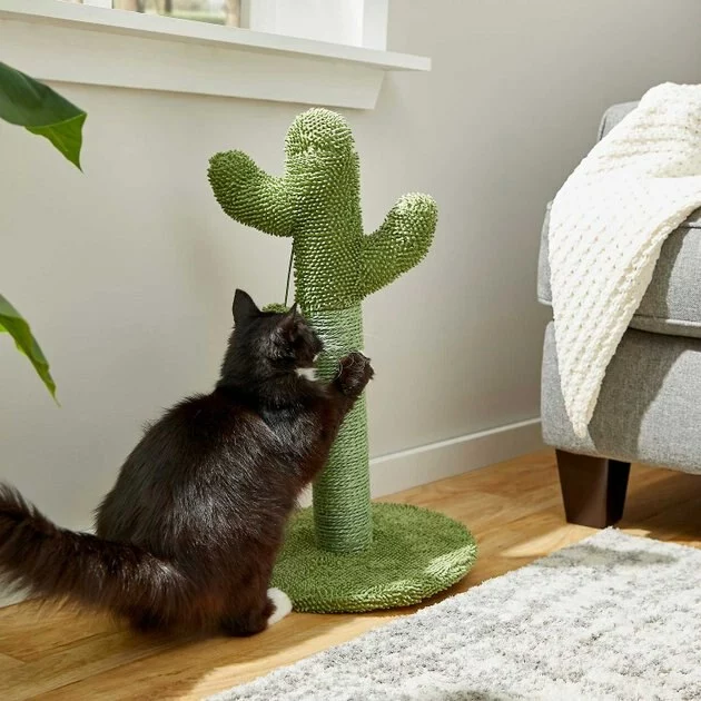 Frisco Cactus Scratching Post, 22-in + Multi-Cat Unscented Clumping Clay Cat Litter 6 Frisco Cactus Scratching Post, 22-in + Multi-Cat Unscented Clumping Clay Cat Litter - Image 4
