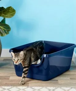 Frisco||World's Best Frisco High Sided Litter Box + World's Best Multi-Cat Unscented Clumping Corn Cat Litter -Pet Food Gear Shop 293046 PT2. SY630 V1619998947