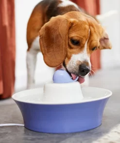 Frisco Ceramic Whale Dog & Cat Water Fountain, Blue, 64-oz -Pet Food Gear Shop 297220 PT4. SY630 V1633549604