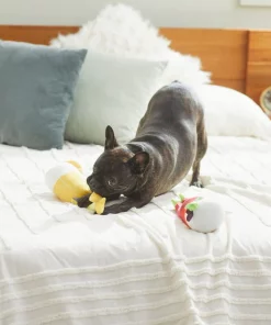 Frisco Brunch Bottomless Mimosas Plush Squeaky Dog Toy, 2 count -Pet Food Gear Shop 297226 PT2. SY630 V1642088368
