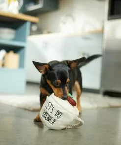 Frisco Brunch Coffee Plush with Rope Squeaky Dog Toy -Pet Food Gear Shop 297230 PT2. SY630 V1642088565