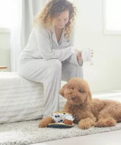 Frisco Brunch Teacup Plush Squeaky Dog Toy -Pet Food Gear Shop 297232 PT3. SY630 V1642087957