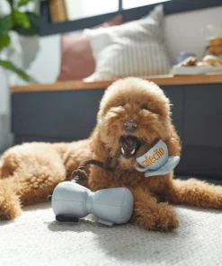 Frisco Brunch Coffee Pitcher Plush with Rope Squeaky Dog Toy -Pet Food Gear Shop 297234 PT2. SY630 V1642088693