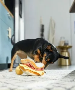 Frisco Brunch Egg in Hole 2-in-1 Plush Squeaky Dog Toy -Pet Food Gear Shop 297246 PT3. SY630 V1642089088