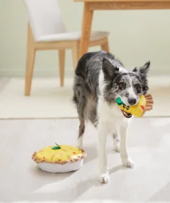 Frisco Brunch Quiche 2-in-1 Plush Squeaky Dog Toy 9 Frisco Brunch Quiche 2-in-1 Plush Squeaky Dog Toy -Pet Food Gear Shop 297248 PT3. SY630 V1642089163