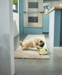 Frisco Brunch Avocado Toast Plush Squeaky Dog Toy -Pet Food Gear Shop 297252 PT2. SY630 V1642088891