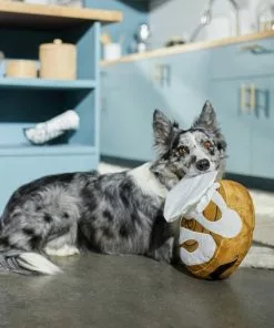 Frisco Brunch Cinnamon Roll Jumbo Plush Squeaky Dog Toy -Pet Food Gear Shop 297260 PT2. SY630 V1642089012