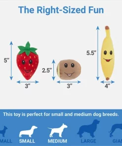 Frisco Brunch Acai Bowl Hide & Seek Puzzle Plush Squeaky Dog Toy -Pet Food Gear Shop 297268 PT2. SY630 V1643916713