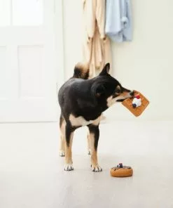 Frisco Brunch Pancake & Waffle Latex Squeaky Dog Toy, 2 count -Pet Food Gear Shop 297272 PT2. SY630 V1642089075