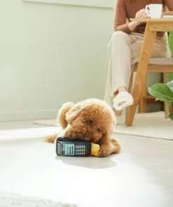 Frisco Brunch Credit Card & Machine Plush Squeaky Dog Toy -Pet Food Gear Shop 297274 PT2. SY630 V1642088452