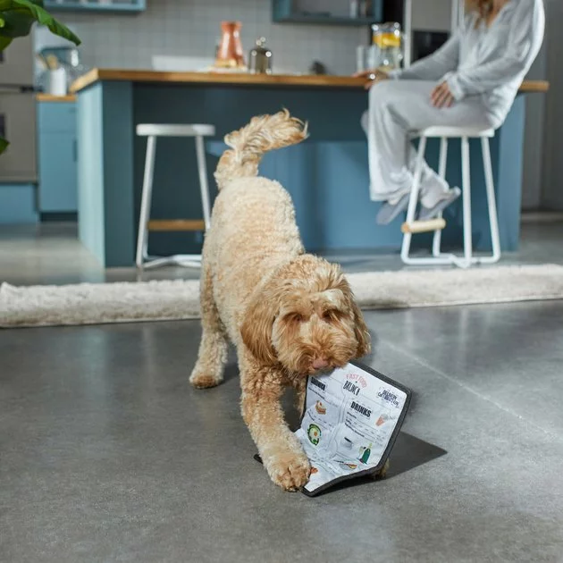 Frisco Brunch Menu Ballistic Nylon Flat Plush Squeaky Dog Toy 5 Frisco Brunch Menu Ballistic Nylon Flat Plush Squeaky Dog Toy - Image 3