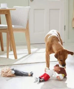 Frisco Brunch Chef & Waitress Plush Squeaky Dog Toy, 2 count 7 Frisco Brunch Chef & Waitress Plush Squeaky Dog Toy, 2 count -Pet Food Gear Shop 297278 PT2. SY630 V1642088629