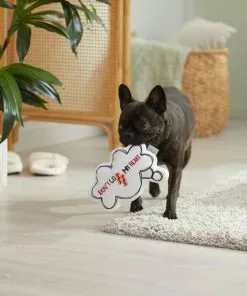 Frisco Brunch Thought Bubble Plush Squeaky Dog Toy -Pet Food Gear Shop 297286 PT3. SY630 V1642087915