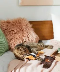 Frisco Brunch Bear & Fox Plush Cat Toy with Catnip, 2 count 7 Frisco Brunch Bear & Fox Plush Cat Toy with Catnip, 2 count -Pet Food Gear Shop 297290 PT2. SY630 V1642088814