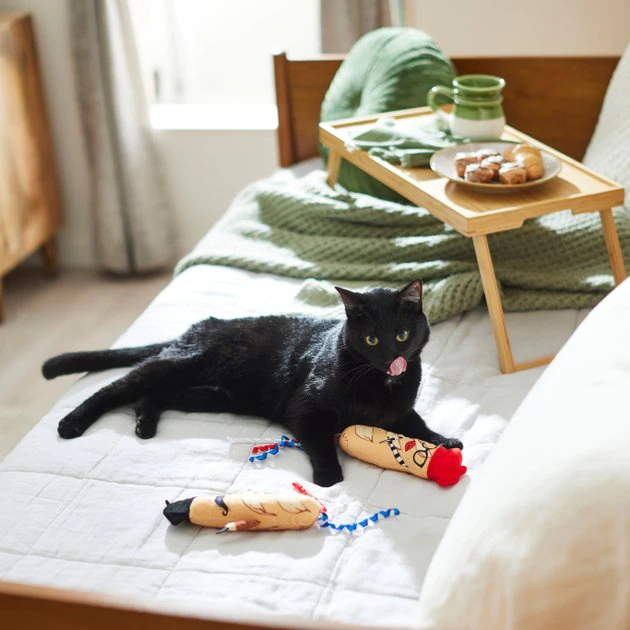 Frisco Brunch French Baguette Plush Cat Toy with Catnip, 2 count 5 Frisco Brunch French Baguette Plush Cat Toy with Catnip, 2 count - Image 3