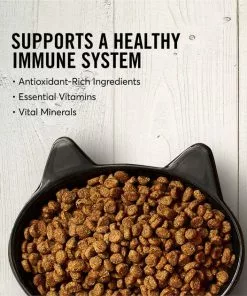 American Journey||Frisco American Journey Salmon Recipe Grain-Free Dry Cat Food, 12-lb bag + Frisco Step-In Cat Scratcher Toy with Catnip, Tropical Palms -Pet Food Gear Shop 297820 PT3. SY630 V1623256069