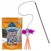 Blue Buffalo||Frisco Blue Buffalo Wilderness Chicken & Turkey Grain-Free Cat Treats, 2-oz bag + Frisco Bird Teaser with Feathers Cat Toy, Purple