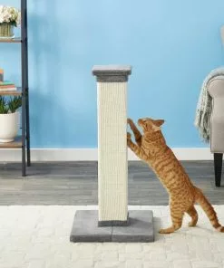 Frisco 33.5-in Sisal Cat Scratching Post, Gray + Frisco Sisal Mat, Medium -Pet Food Gear Shop 297950 PT3. SY630 V1622740107