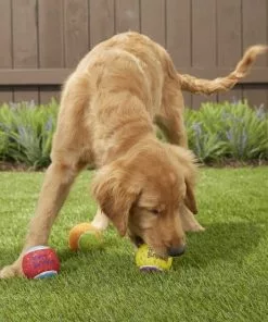 Frisco||The Lazy Dog Cookie Co. Frisco Fetch Squeaking Birthday Tennis Ball Dog Toy, 3-Pack + The Lazy Dog Cookie Co. Happy Birthday Pup-PIE Dog Treat, Boy 11 Frisco||The Lazy Dog Cookie Co. Frisco Fetch Squeaking Birthday Tennis Ball Dog Toy, 3-Pack + The Lazy Dog Cookie Co. Happy Birthday Pup-PIE Dog Treat, Boy -Pet Food Gear Shop 297958 PT3. SY630 V1621303653