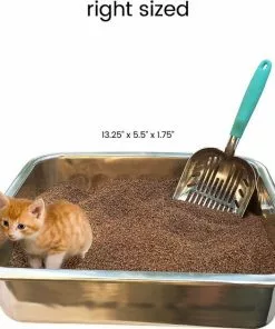 DurAnimals||Frisco DurAnimals DuraScoop Original Cat Litter Scoop, Color Varies + Frisco Flip Top Hooded Corner Cat Litter Box, Large, 21-in -Pet Food Gear Shop 297968 PT3. SY630 V1621305450