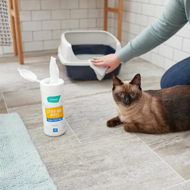 Frisco High Sided Cat Litter Box, Navy, Extra Large 24-in + Frisco Litter Box Cleaning Wipes, 40 count 8 Frisco High Sided Cat Litter Box, Navy, Extra Large 24-in + Frisco Litter Box Cleaning Wipes, 40 count - Image 6