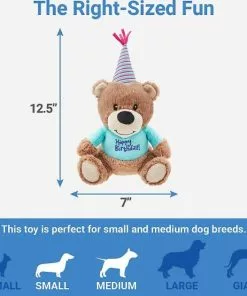 Frisco||The Lazy Dog Cookie Co. Frisco Plush Birthday Bear with Striped Hat Dog Toy + The Lazy Dog Cookie Co. Happy Birthday Pup-PIE Dog Treat, Boy -Pet Food Gear Shop 297994 PT2. SY630 V1621299738