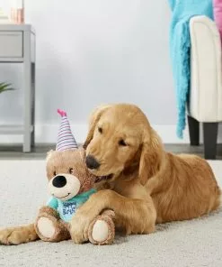 Frisco||The Lazy Dog Cookie Co. Frisco Plush Birthday Bear with Striped Hat Dog Toy + The Lazy Dog Cookie Co. Happy Birthday Pup-PIE Dog Treat, Boy -Pet Food Gear Shop 297994 PT3. SY630 V1621291043