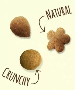 Friskies||Frisco Friskies Party Mix Natural Yums Catnip Flavor Cat Treats, 6-oz bag + Frisco Melamine Dog & Cat Treat Jar with Bamboo Lid, 8 Cups -Pet Food Gear Shop 298032 PT3. SY630 V1621270344