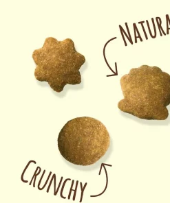 Friskies||Frisco Friskies Party Mix Natural Yums With Real Salmon Cat Treats, 6-oz pouch + Frisco Melamine Dog & Cat Treat Jar with Bamboo Lid, 8 Cups -Pet Food Gear Shop 298040 PT3. SY630 V1623251845