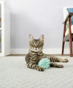 Sheba||Frisco Sheba Meaty Tender Sticks Chicken Cat Treats, 5 count + Frisco Moppy Ball Cat Toy, Blue -Pet Food Gear Shop 298506 PT4. SY630 V1623197251