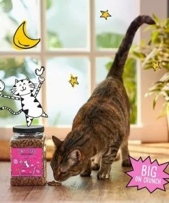 Tiny Tiger||Frisco Tiny Tiger Crunchy Bunch, Fearless Feathers and Gracious Gills, Chicken & Seafood Flavor Cat Treats, 20-oz Jar + Frisco Melamine Dog & Cat Treat Jar with Bamboo Lid, 8 Cups -Pet Food Gear Shop 298586 PT3. SY630 V1623202356