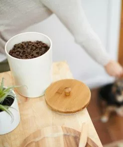 Tiny Tiger||Frisco Tiny Tiger Crunchy Bunch, Fearless Feathers and Gracious Gills, Chicken & Seafood Flavor Cat Treats, 20-oz Jar + Frisco Melamine Dog & Cat Treat Jar with Bamboo Lid, 8 Cups -Pet Food Gear Shop 298586 PT6. SY630 V1623194847